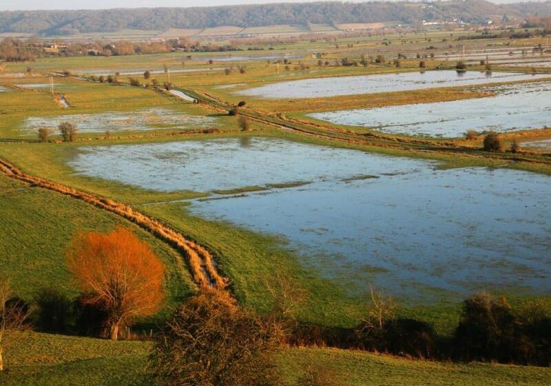 酒店 Royal Ashton Townhouse   Taunton