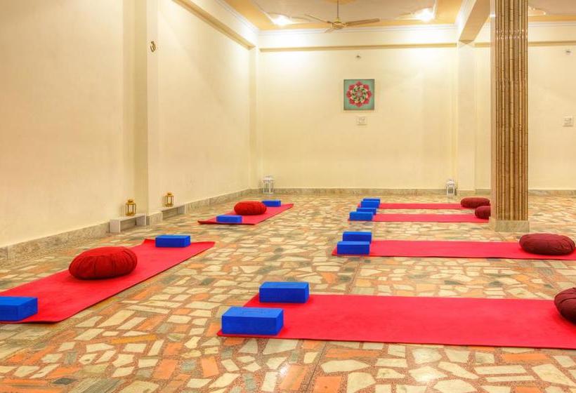 Отель Treebo The Lily