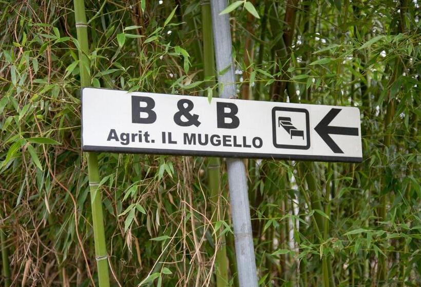 Il Mugello B&b