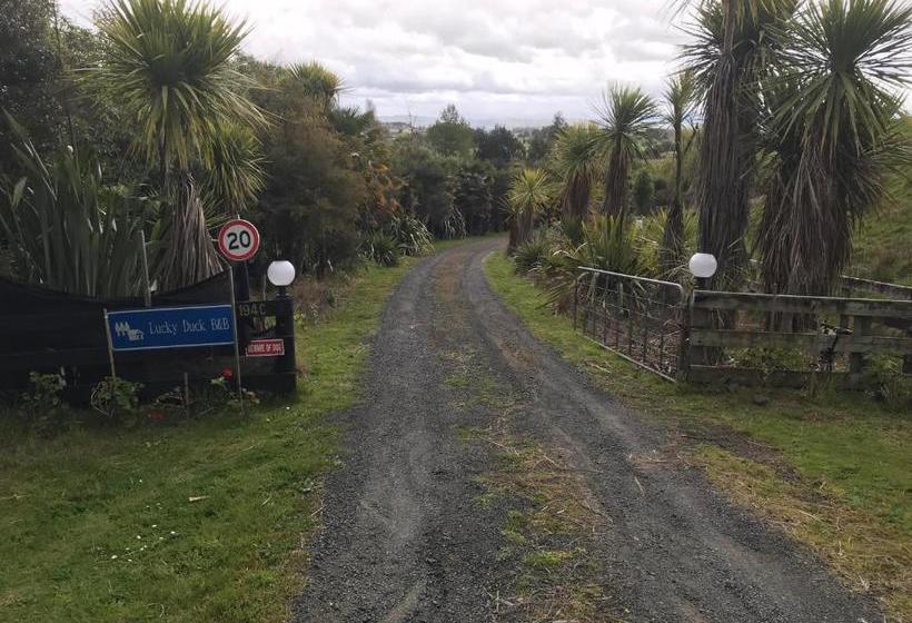 Lucky Duck Country Lodge B&b Hamilton