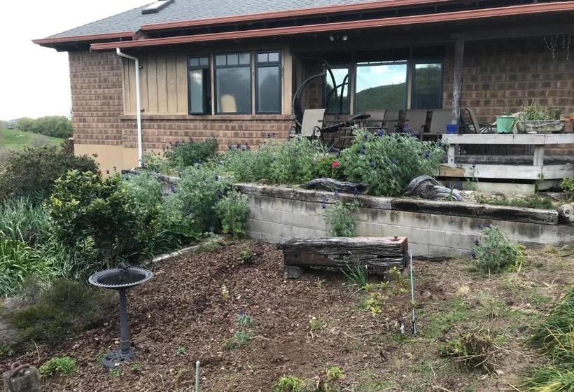 Lucky Duck Country Lodge B&b Hamilton