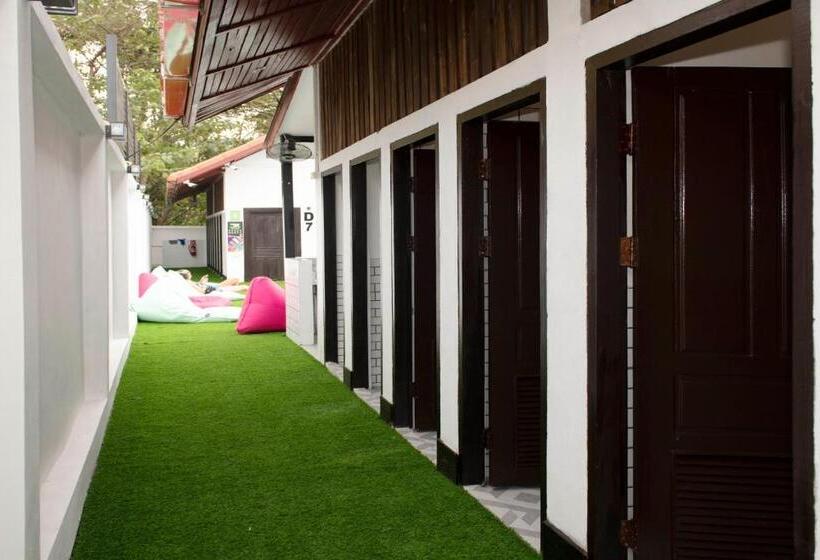 הוסטל Mad Monkey Luang Prabang