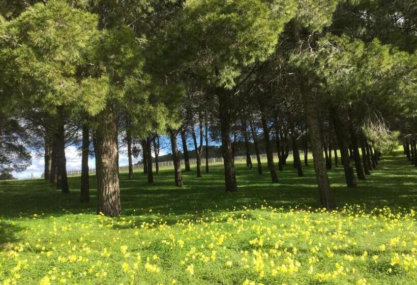 ベッドアンドブレックファースト Barossa White House The West Wing