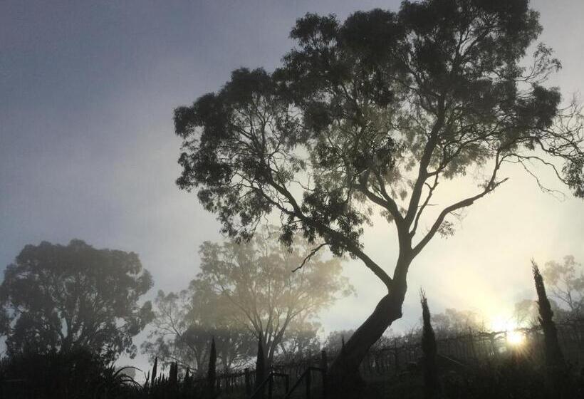 ベッドアンドブレックファースト Barossa White House The West Wing