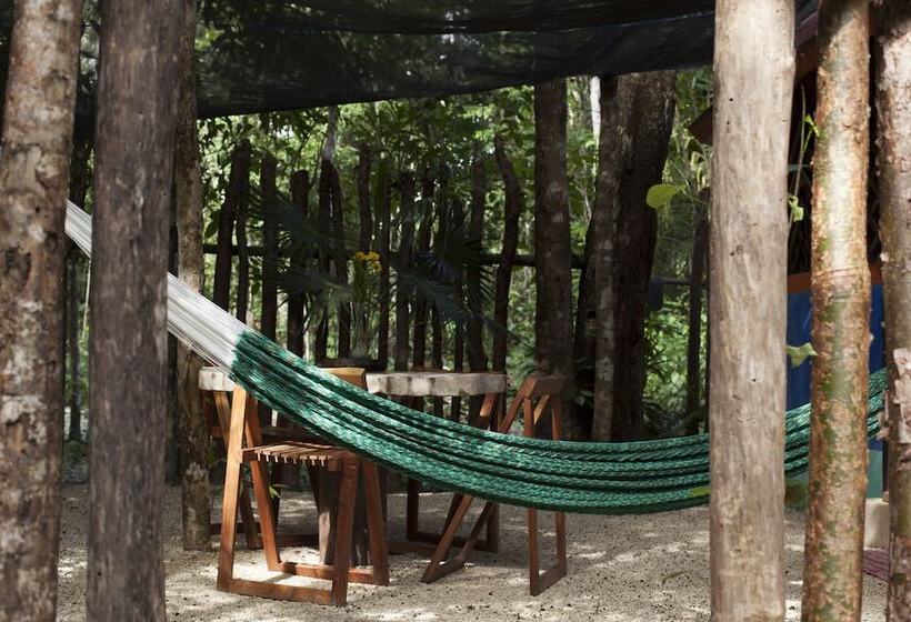 민박 Chaktunche Rancho Ecolodge