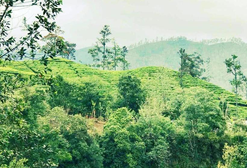 Bed and Breakfast Ella Slon White Elephant