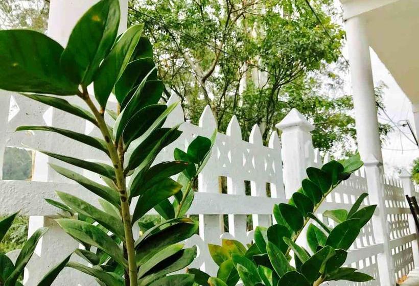 Bed and Breakfast Ella Slon White Elephant