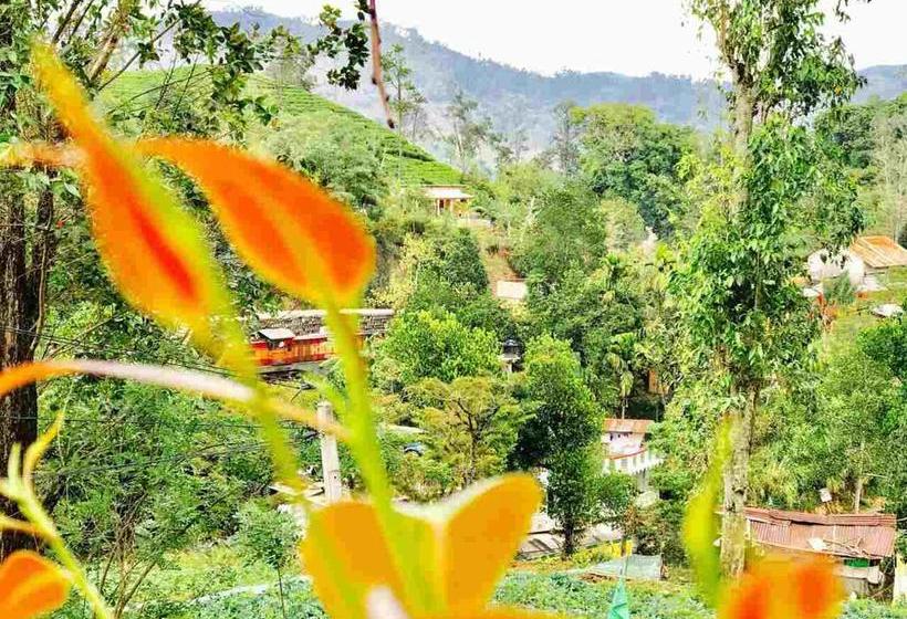 Bed and Breakfast Ella Slon White Elephant