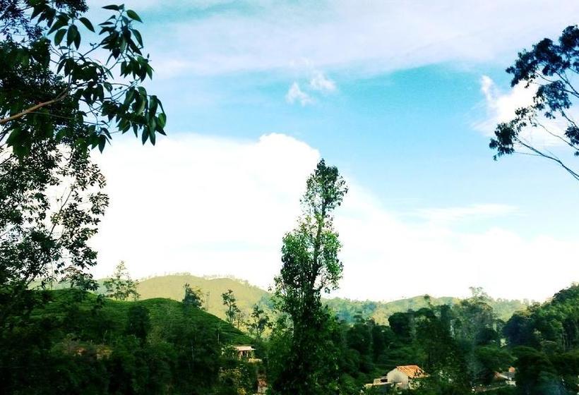 Bed and Breakfast Ella Slon White Elephant