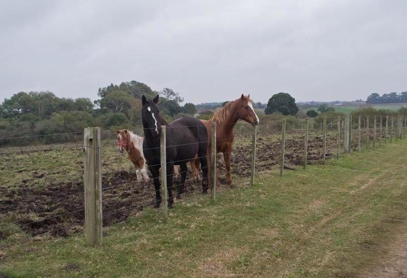 Bed and Breakfast Los Azahares
