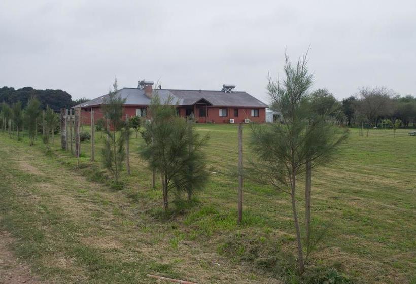 Bed and Breakfast Los Azahares