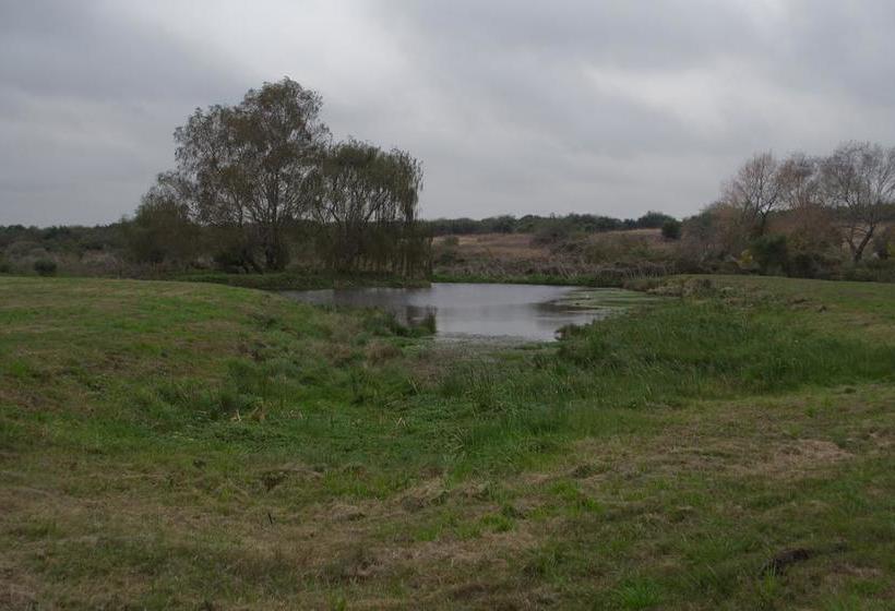Bed and Breakfast Los Azahares