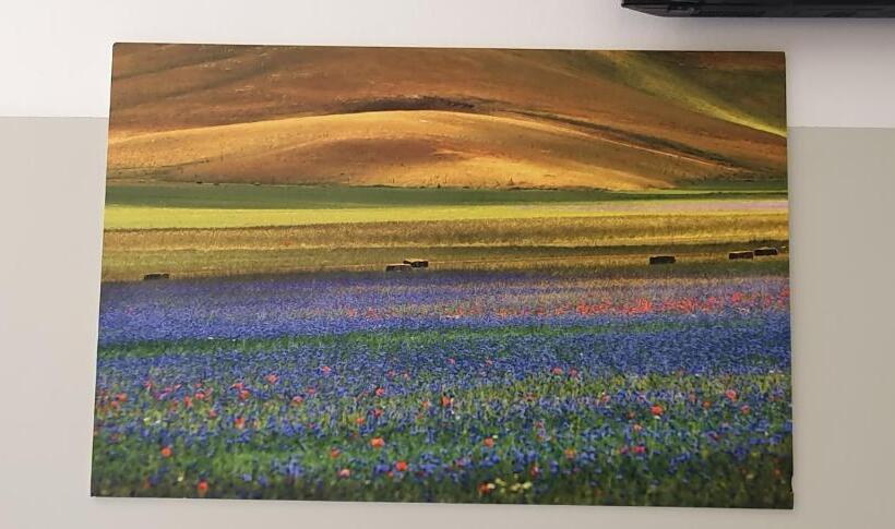 住宿加早餐  Orto Degli Ulivi