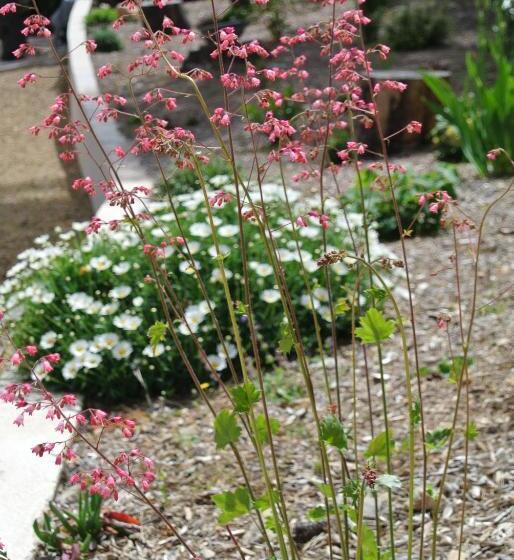 ベッドアンドブレックファースト Villa Carpe Diem