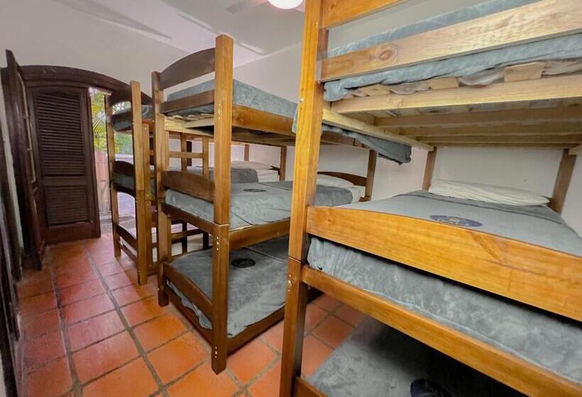 Beer Hostel Suites Privativas E Compartilhadas