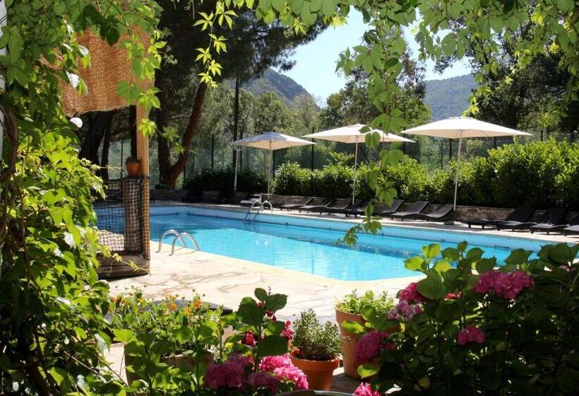 Отель Accendi Pipa