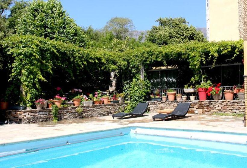 Отель Accendi Pipa