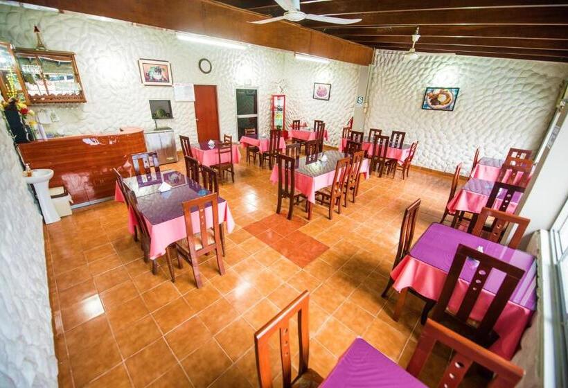 酒店 America Pucallpa