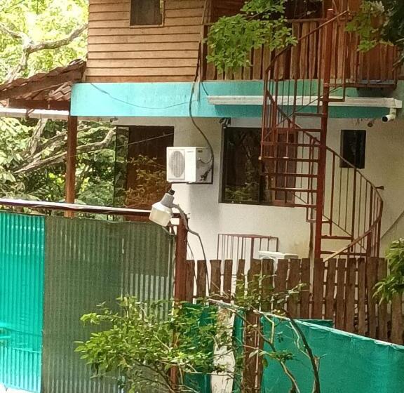 فندق Burnt Toast Surfcamp