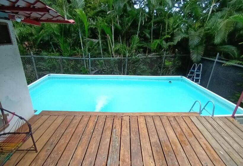 فندق Burnt Toast Surfcamp