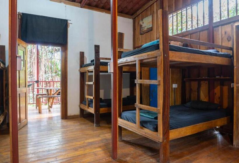 فندق Burnt Toast Surfcamp