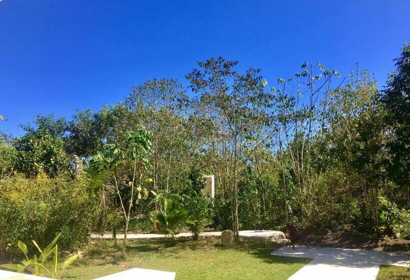 هتل Casa Maya Calakmul