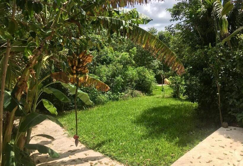 هتل Casa Maya Calakmul