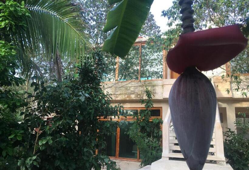 هتل Casa Maya Calakmul