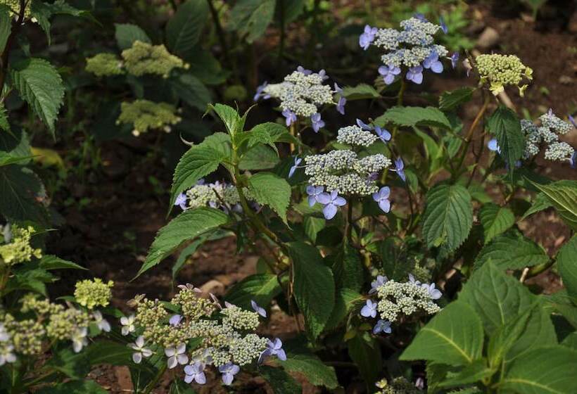 Отель Nanta Jeju