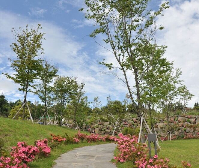 Отель Nanta Jeju