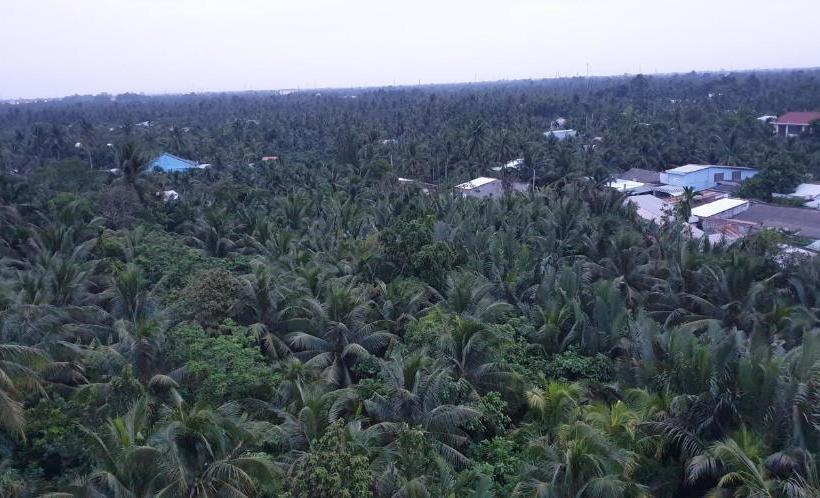 هتل Trung Luong 3