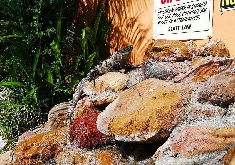 酒店 Villas Verdes