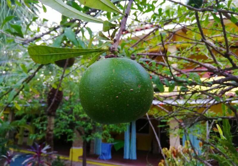 酒店 Villas Verdes