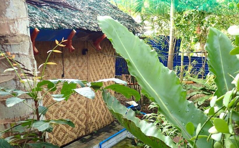 Island Tiki Paradise Resort