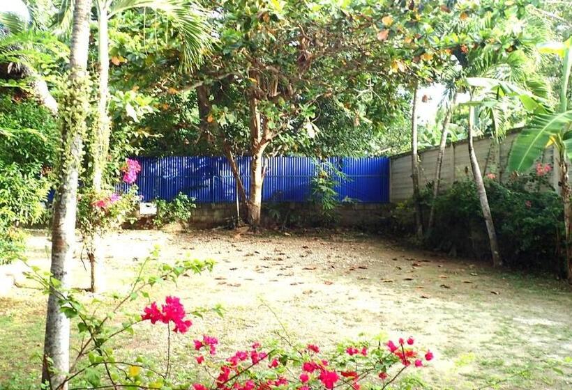 Island Tiki Paradise Resort