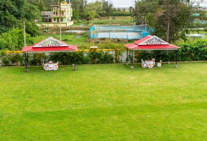 Viceroy Beach And Spa Resort