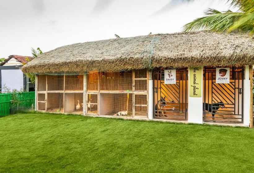 Viceroy Beach And Spa Resort