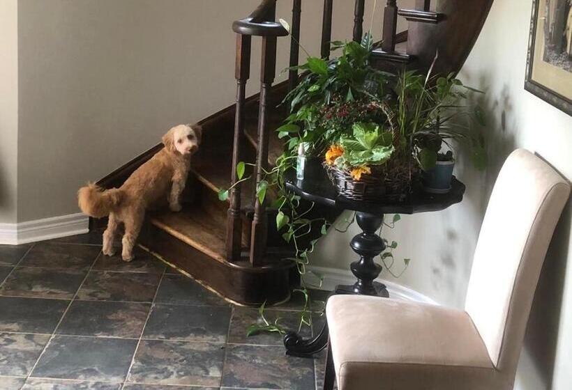 Willow Pond Satellite B&b