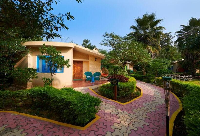 Acorn Hideaway Resort & Spa