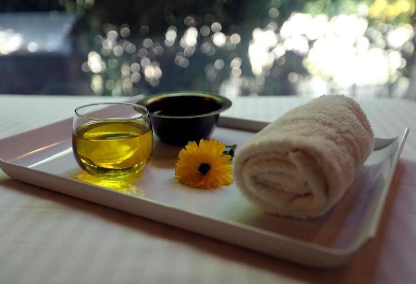 Acorn Hideaway Resort & Spa