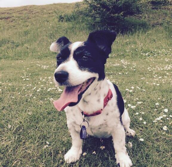 צימר Grange Bank House