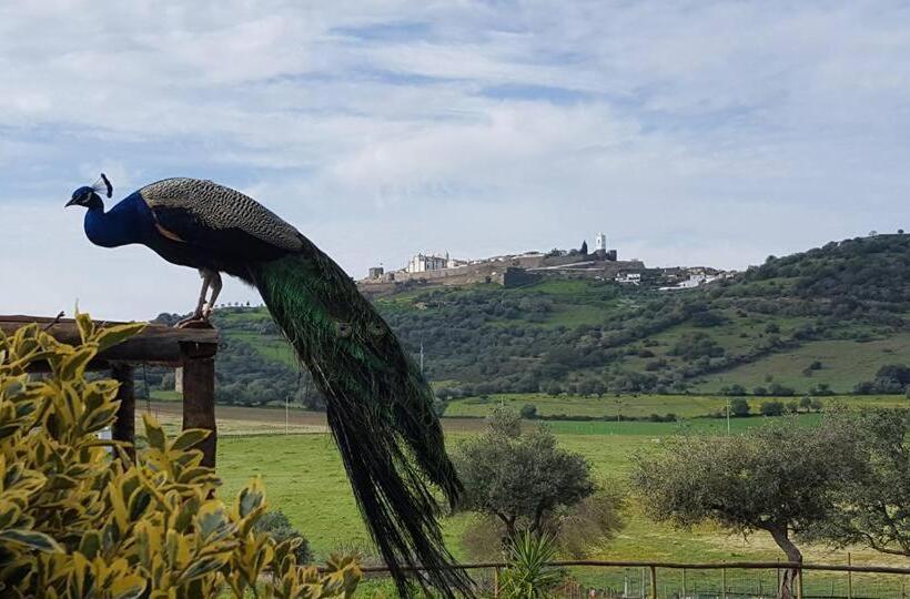 تختخواب و صبحانه Monte Santa Catarina