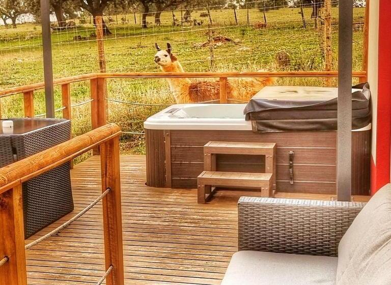 تختخواب و صبحانه Monte Santa Catarina