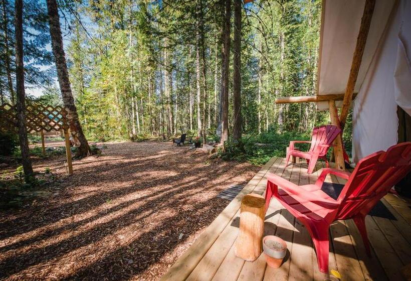 Cedar Haven Cabins And Resort