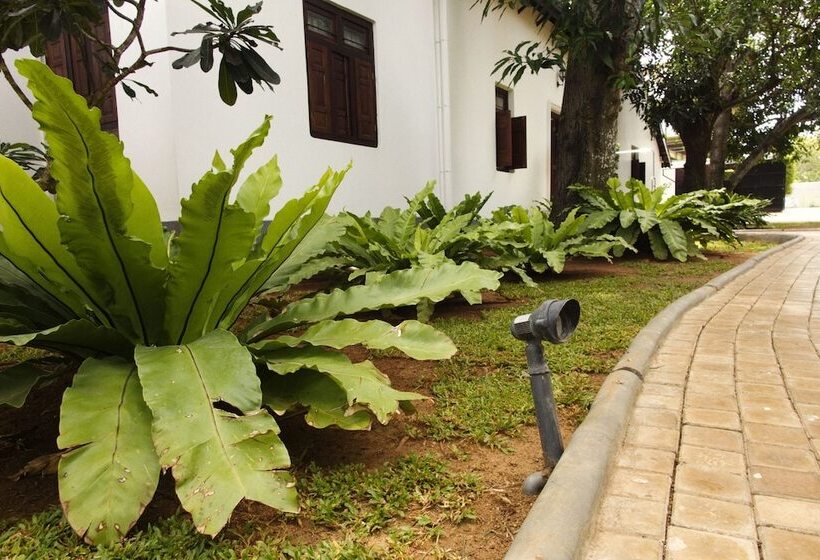 Курорт Fox Jaffna