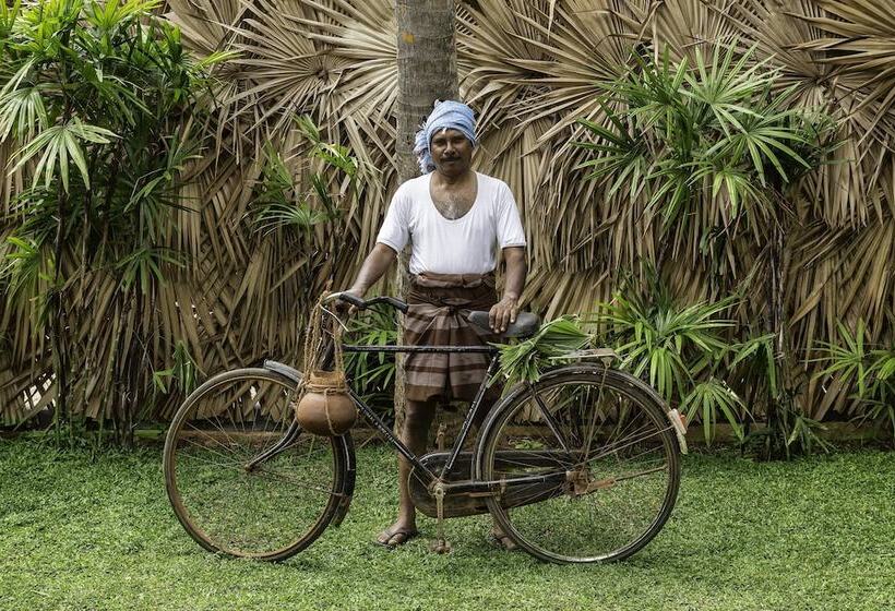 Курорт Fox Jaffna