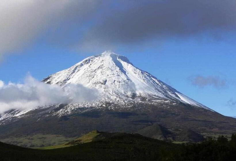 여관 A Casa Do Ouvidor