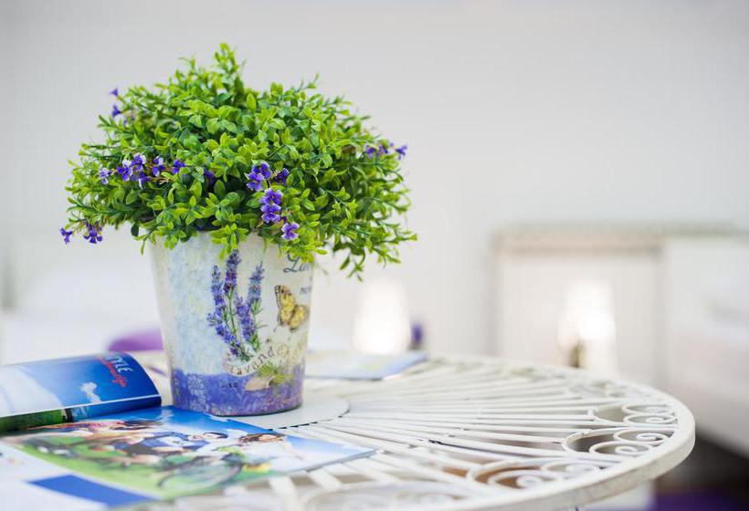 Hostel Street Osijek / Rooms