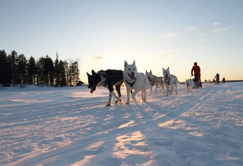 호텔 Aateli Hillside