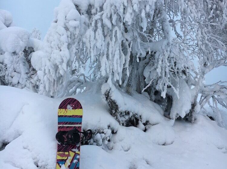 호텔 Aateli Hillside